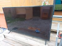 LG  Fernseher, 139 cm Bildschirm diagonale Bayern - Schechen Vorschau
