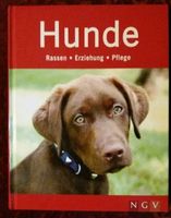 Hunde  Rassen  Erziehung   Pflege Niedersachsen - Cappeln (Oldenburg) Vorschau