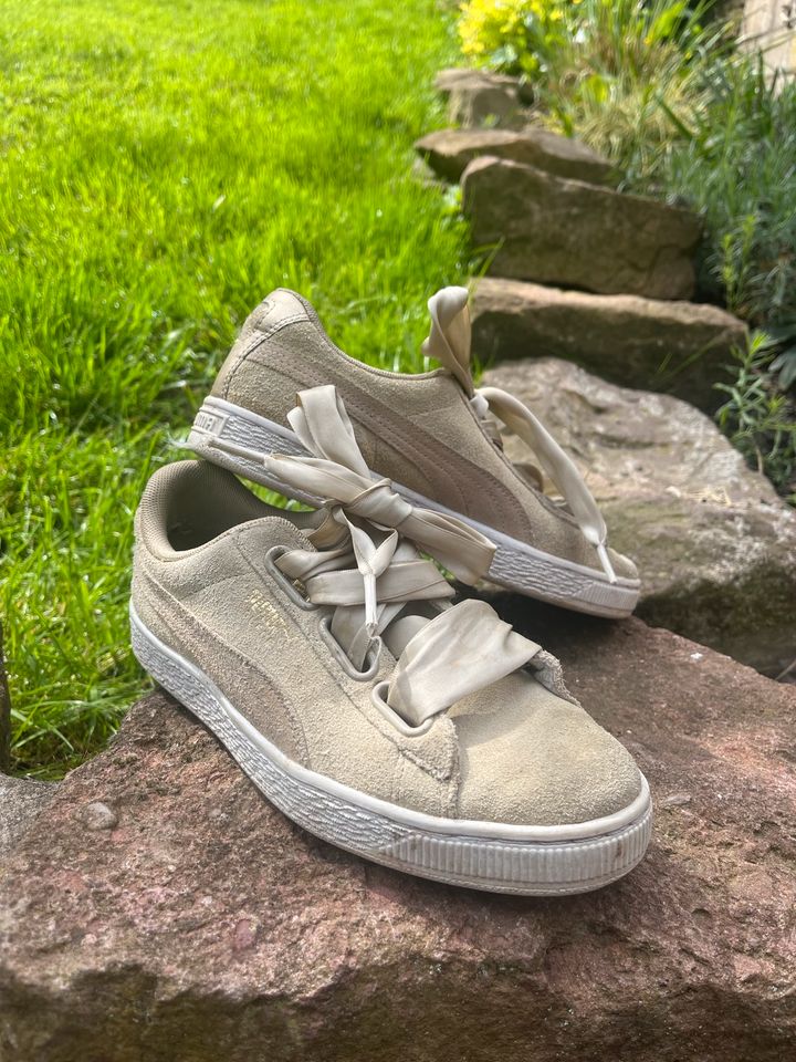 Puma sneaker in Pforzheim