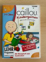 CD-Rom  Lernsoftware Kindergarten 3-5 Jahre Toggo Lino caillou Niedersachsen - Lüchow Vorschau