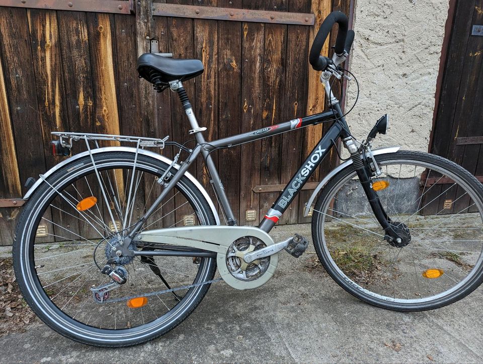 Trekkingfahrrad Herren 28 Zoll in Eisenhüttenstadt