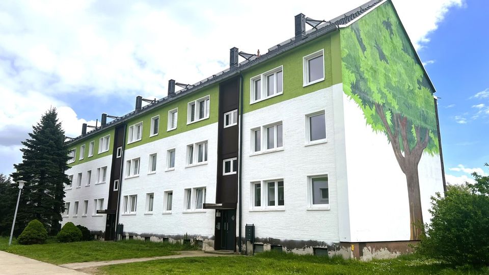 Sanierte 3-Raumwohnung mit Balkon in Löberitz zu vermieten! in Zörbig