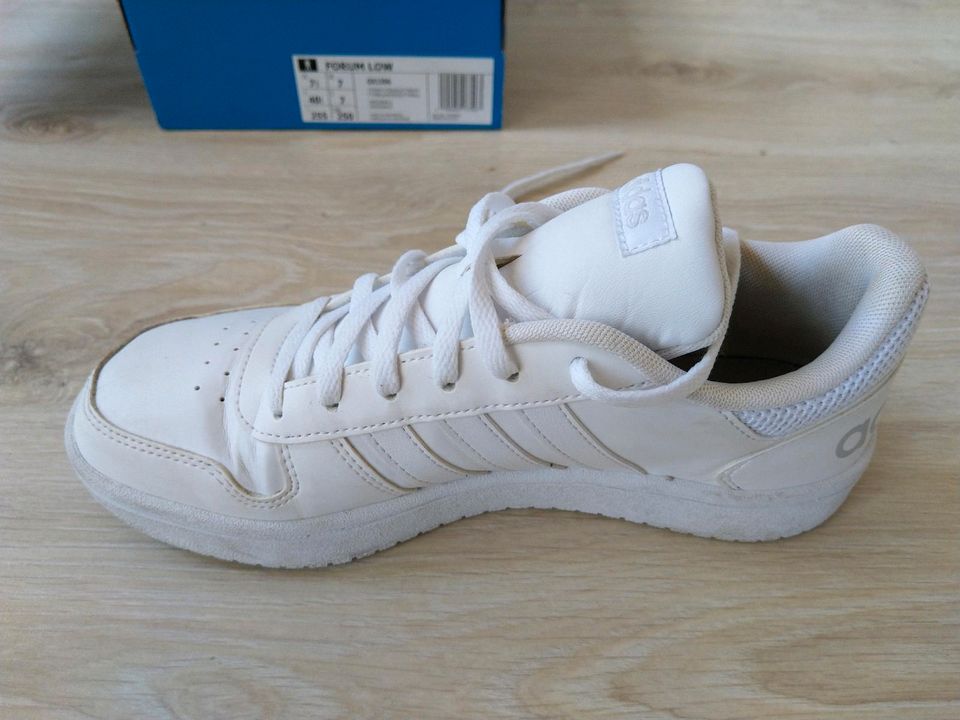 Adidas Sneaker, weiß, Größe in Schieder-Schwalenberg