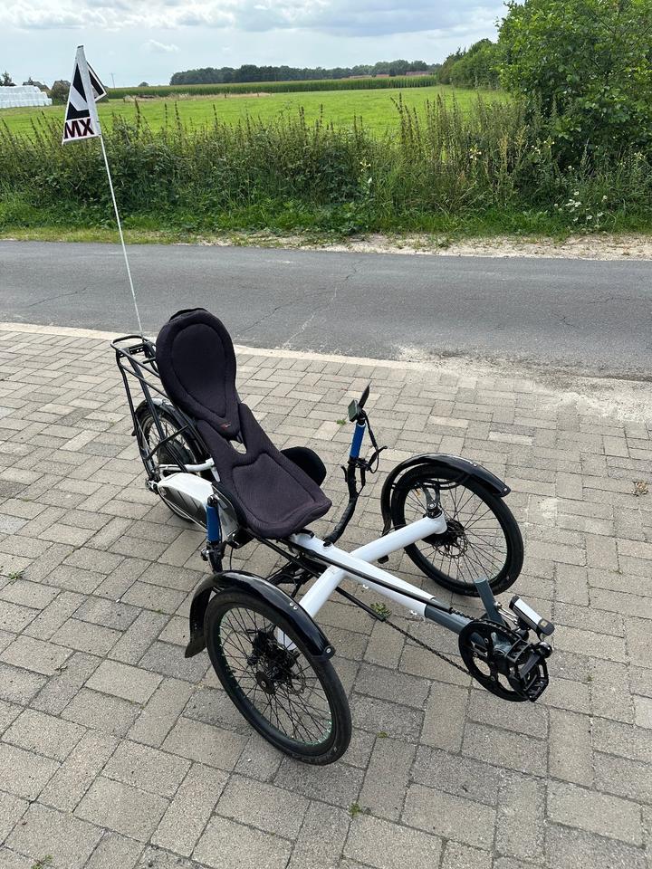 HP Velotechnik Scorpion fx 20 faltbar grau/weiss E-Trike Bionx in Bad Laer