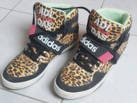 Adidas World Famous Chucks Leo style, Sneaker Müritz - Landkreis - Rechlin Vorschau