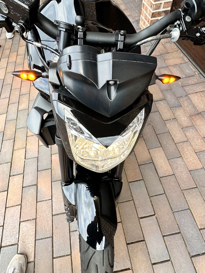 Yamaha fz1000 Unikat in Wildeshausen