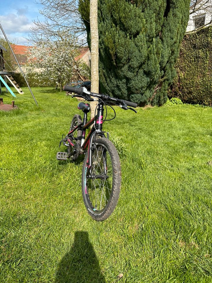 Mountainbike Kinderfahrrad Stevens 20 Zoll MTB Fahrrad in Eppelborn