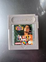 Nintendo Game Boy Spiel King of the Ring Nordrhein-Westfalen - Selm Vorschau