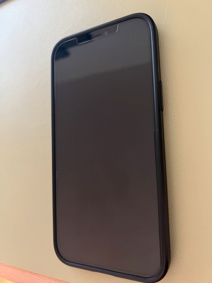 iPhone 12Pro Max 256GB in Weinböhla