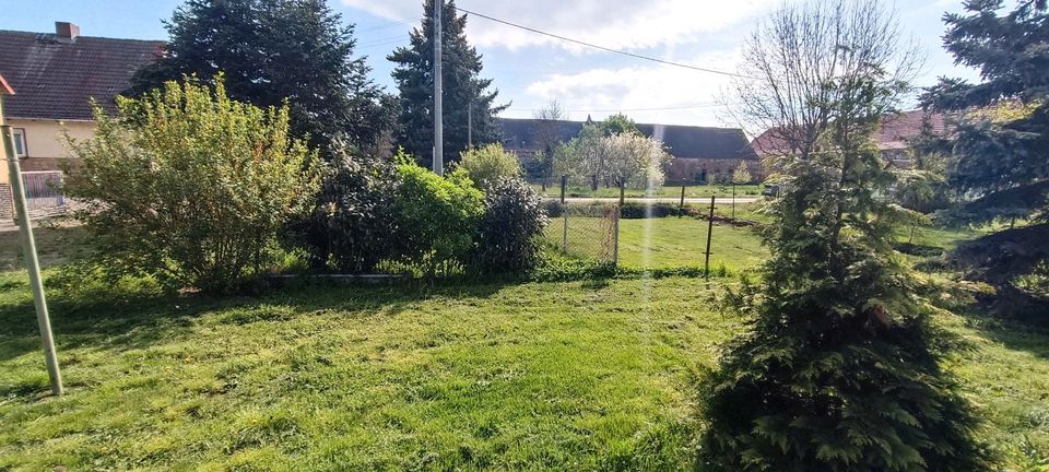 Einfamilienhaus mit Stallgebäude und Garage bei Belgern in Belgern