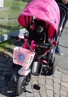 Kinderwagen Dreirad Rheinland-Pfalz - Neuwied Vorschau