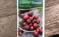 Bio Demeter Black Cherry Tomaten Pflanzen Friedrichshain-Kreuzberg - Friedrichshain Vorschau