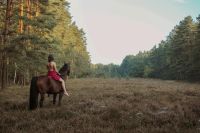 Reitbeteiligung (Reiter sucht Pferd) Niedersachsen - Lehrte Vorschau