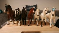 7 große Schleich Pferde Leipzig - Holzhausen Vorschau