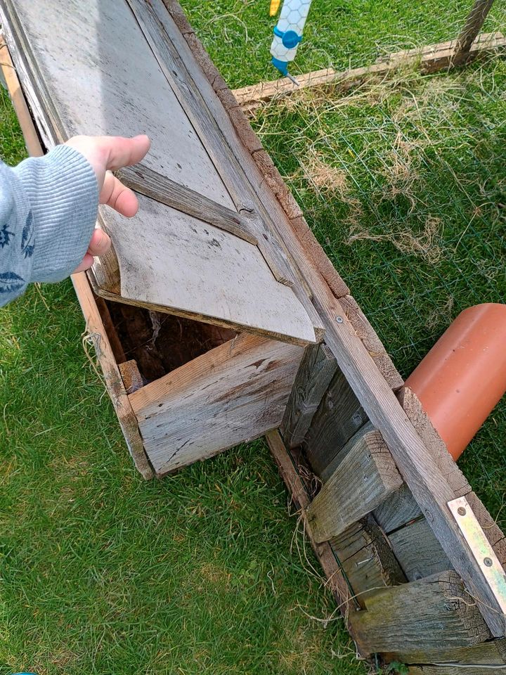 Hasenkäfig Freilauf für Kleintiere in Willingshausen