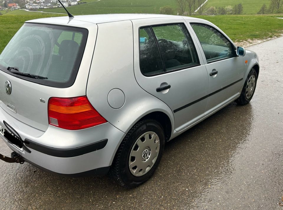 Volkswagen Golf in Haiterbach