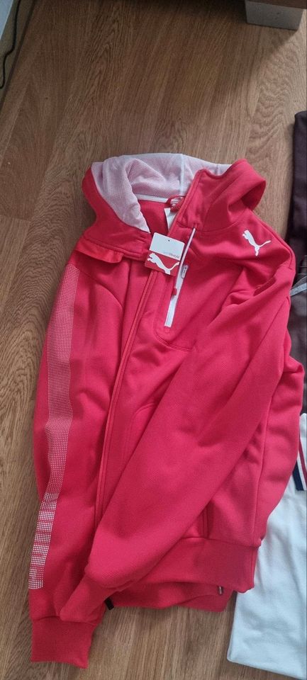 9x Poloshirt , Puma Jacke, Größe XL in Markgröningen