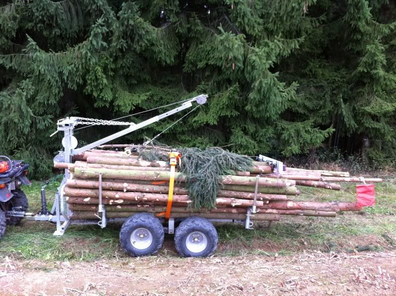 KRÜMA Forstanhänger LH1200 ohne Kran Rückewagen Traktor ATV Quad in Waltershausen