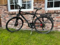 Trekkingbike Pegasus Solero Disc Nordrhein-Westfalen - Schloß Holte-Stukenbrock Vorschau