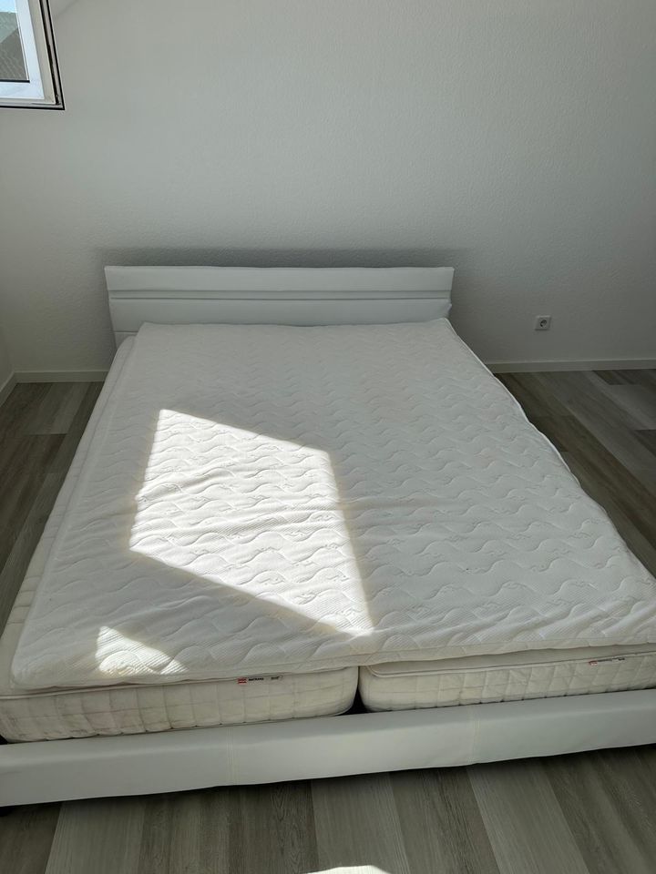 Bett 160cm mit Topper und LED in Naunhof