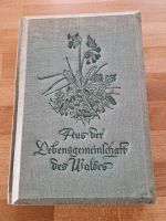 Buch: Aus der Lebensgemeinschaft des Waldes (1939) Baden-Württemberg - Kernen im Remstal Vorschau