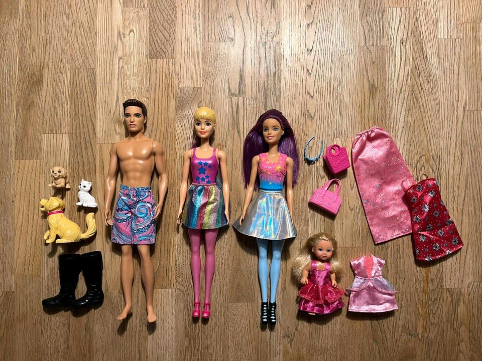 Barbie Stückverkauf aus Sammlung| Barbiepuppe Ken in Hannover