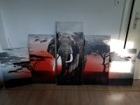Wandbild Elefant Niedersachsen - Hildesheim Vorschau