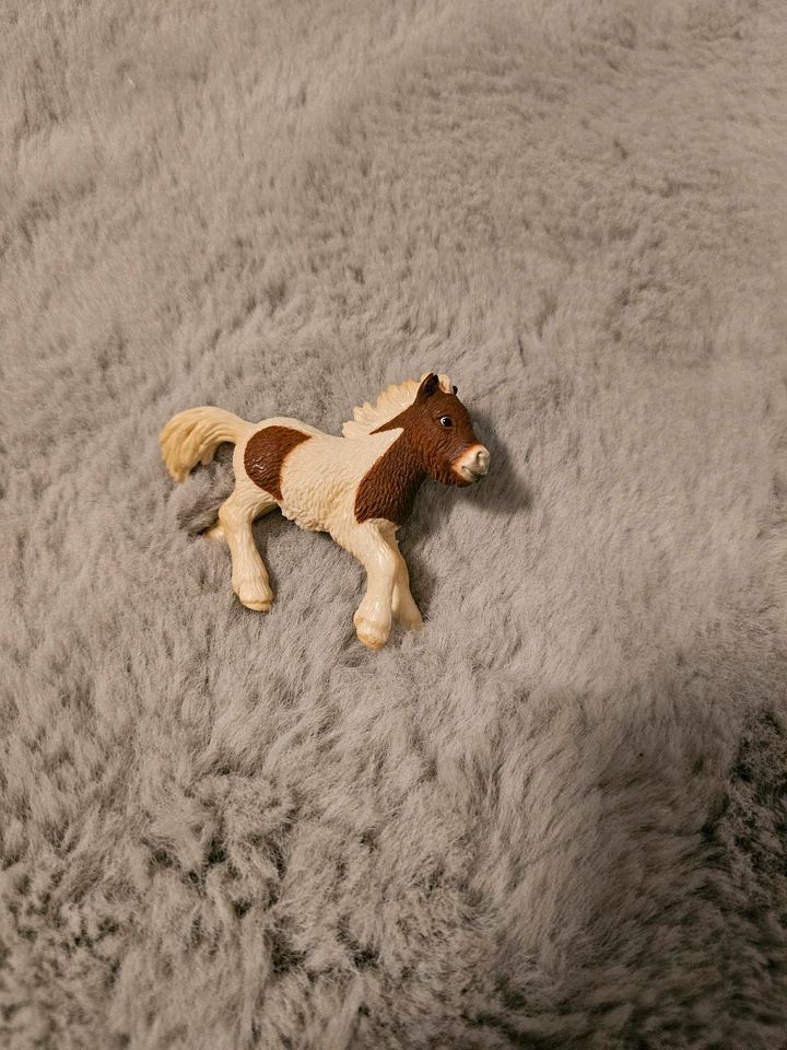 Schleich Pferd Shetland Pony Fohlen 13608. von 2005 in Braunschweig