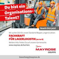 Fachkraft für Lagerlogistik/Lagerist (m/w/d) Meppen,Lingen,Uelsen Niedersachsen - Meppen Vorschau