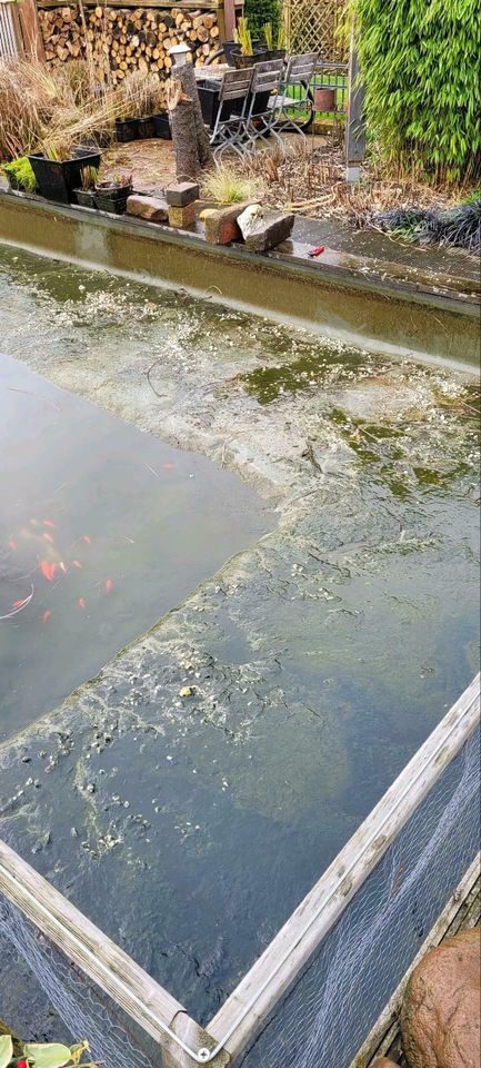 Teich reinigen entfernen Reinigung Bagger anlegen in Goch