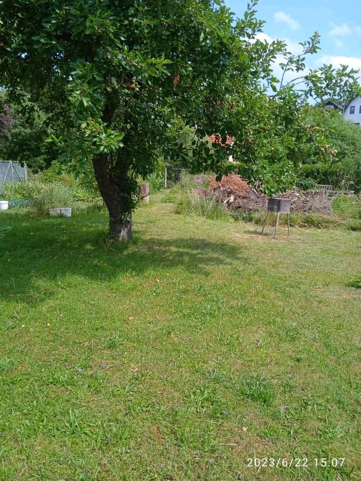 Schrebergarten in Frankenberg (Eder)