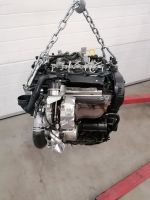 MOTOR DFUA 2.0 TDI VW AUDI SKODA SEAT KOMPLETT Nordrhein-Westfalen - Ratingen Vorschau