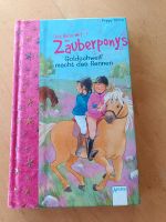 Buch "Die Reise mit den Zauberponys" Bayern - Wertingen Vorschau