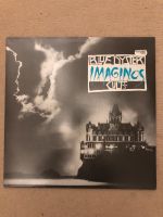 Vinyl Blue Öyster Cult – Imaginos Holländische Pressung 1988 Schleswig-Holstein - Trittau Vorschau