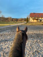 Bieten Reitbeteiligung Baden-Württemberg - Neuweiler Vorschau