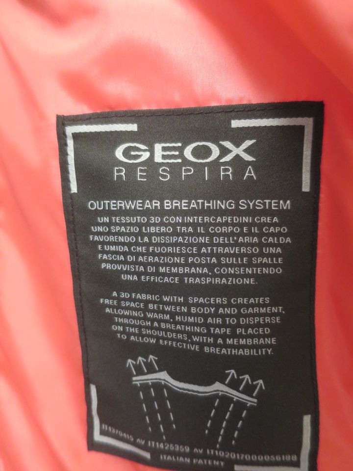 Geox Weste S, Elle Jacke S, Taifun Jacke 38-M in Dresden