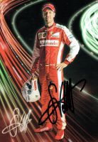 SEBASTIAN VETTEL Autogramm, Autogrammkarte, SANTANDER, Formel1 /5 Innenstadt - Köln Altstadt Vorschau