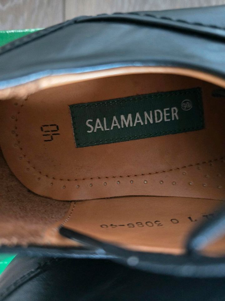 Herren Schuhe. SALAMANDER.LEDER.NEUE. in Hameln