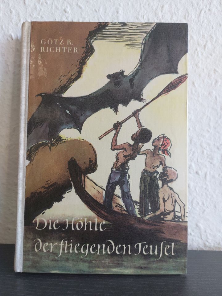 Die Höhle der fliegenden Teufel Götz Richter DDR Kinderbuchverlag in Dresden