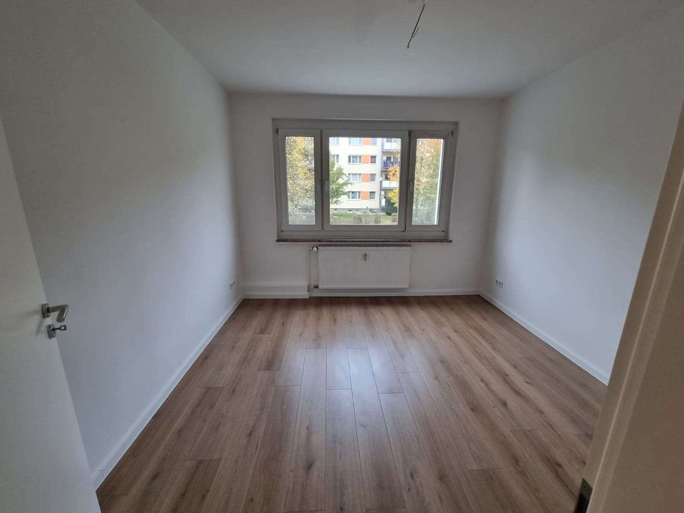 ++ Frisch renoviert - helle 3-Zimmer WE! ++ in Beilrode