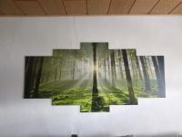 Bild Wandbild Wohnzimmer Wald Baum Natur Hessen - Kassel Vorschau