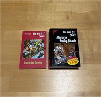 DIE DREI ??? Kids Buch Bücher große Schrift Kinderbuch Hessen - Limburg Vorschau