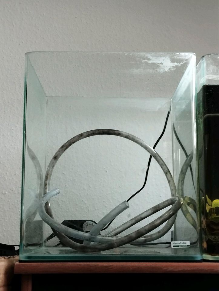 Zwei Dennerle Nano Cube Aquarium Aquarien mit Zubehör und Besatz in Köln