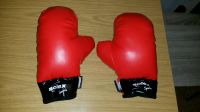 Boxing Handschuhe für Kinder Schwerin - Mueßer Holz Vorschau