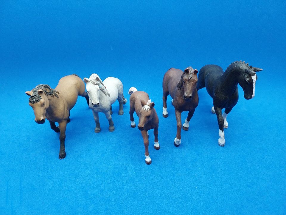 Schleich Pferde Warmblut Mustang Trakehner Bashkir… in Aalen