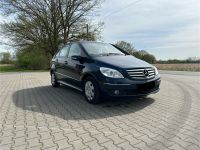 Mercedes-Benz B-Klasse b170 Nordrhein-Westfalen - Lüdinghausen Vorschau