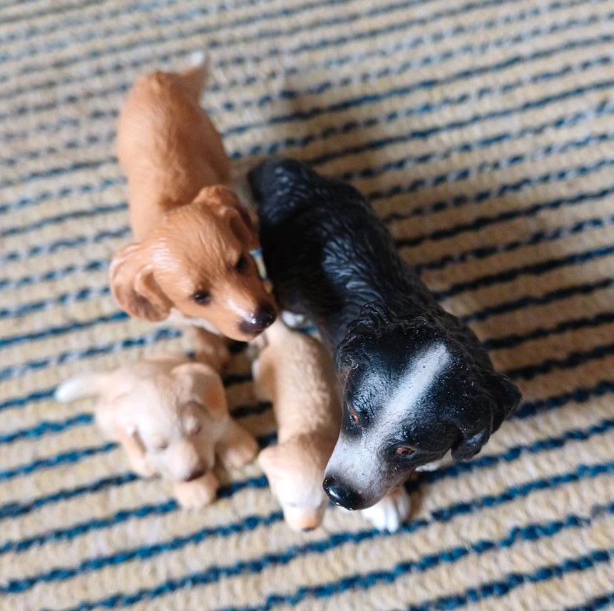 SCHLEICH Hunde Familie Golden Retriever Welpe Berner Sen Shepherd in Fürstenfeldbruck