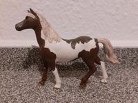 Schleich Pferd Paint Horse Wallach 13885 Niedersachsen - Bispingen Vorschau