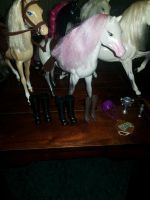 Mattel Barbie Pferde 4 Stück 1 Simba mit Zubehör Nordrhein-Westfalen - Geldern Vorschau