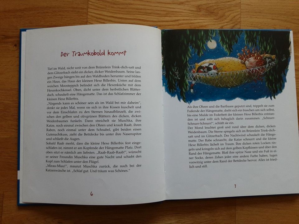 Kleine Dinosaurier Geschichten/Hexe Billerbix und der Traumkobold in Sankt Augustin